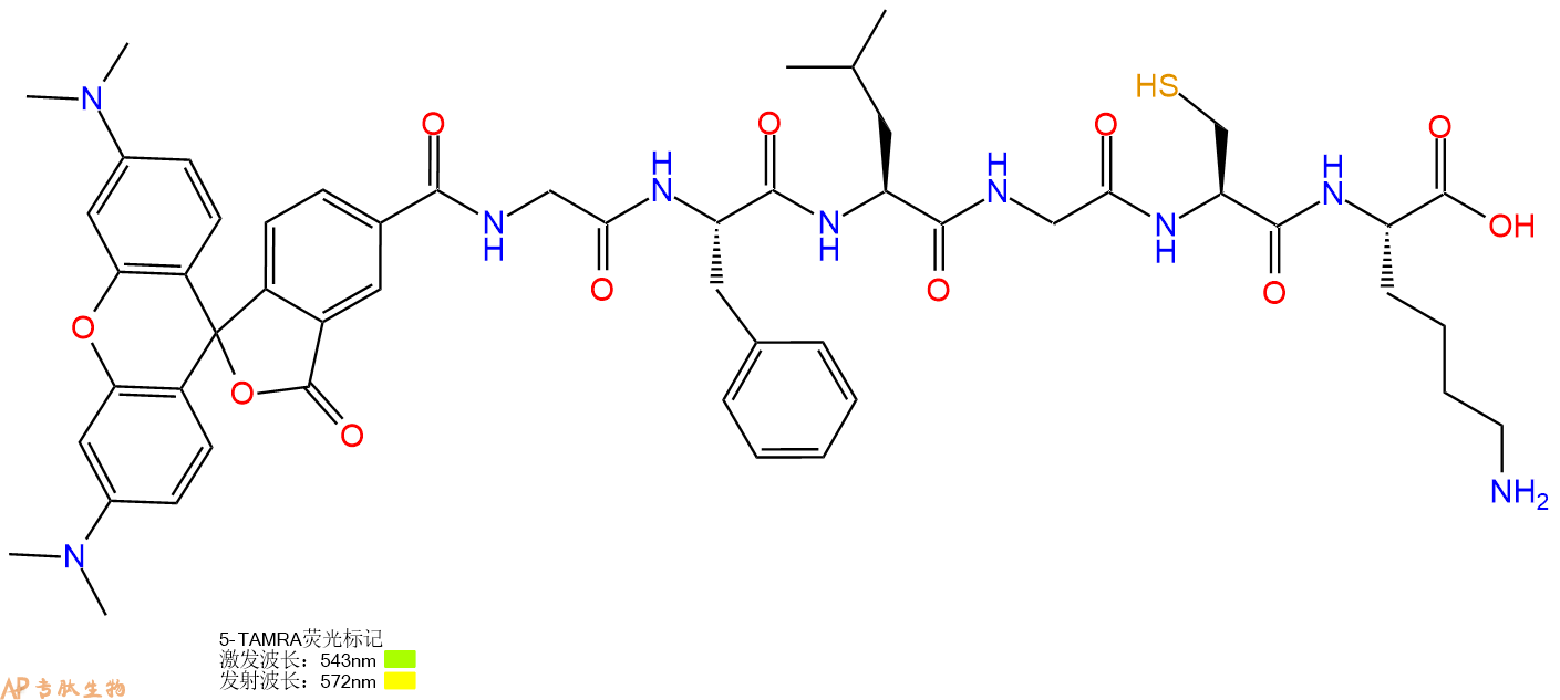 专肽生物产品5TAMRA-Gly-Phe-Leu-Gly-Cys-Lys-OH
