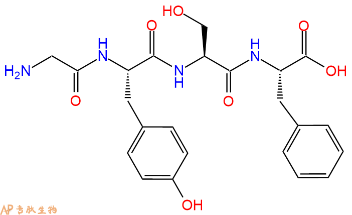 专肽生物产品H2N-Gly-Tyr-Ser-Phe-OH