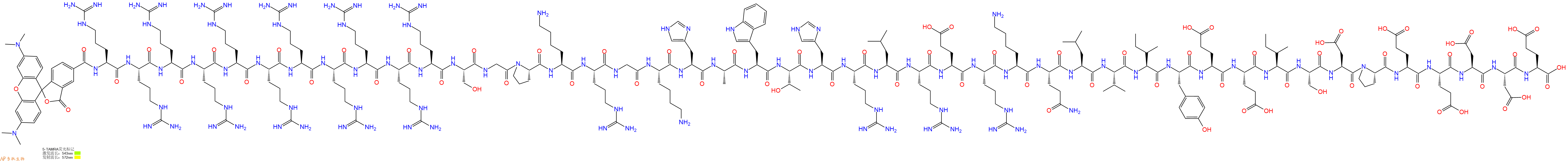 专肽生物产品5TAMRA-Arg-Arg-Arg-Arg-Arg-Arg-Arg-Arg-Arg-Arg-Arg-Ser-Gly-Pro-Lys-Arg-Gly-Lys-His-Ala-Trp-Thr-His-Arg-Leu-Arg-Glu-Arg-Lys-Gln-Leu-Val-Ile-Tyr-Glu-Glu-Ile-Ser-Asp-Pro-Glu-Glu-Asp-Asp-Glu-OH