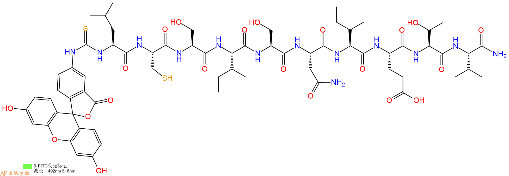 专肽生物产品5FITC-Leu-Cys-Ser-Ile-Ser-Asn-Ile-Glu-Thr-Val-CONH2