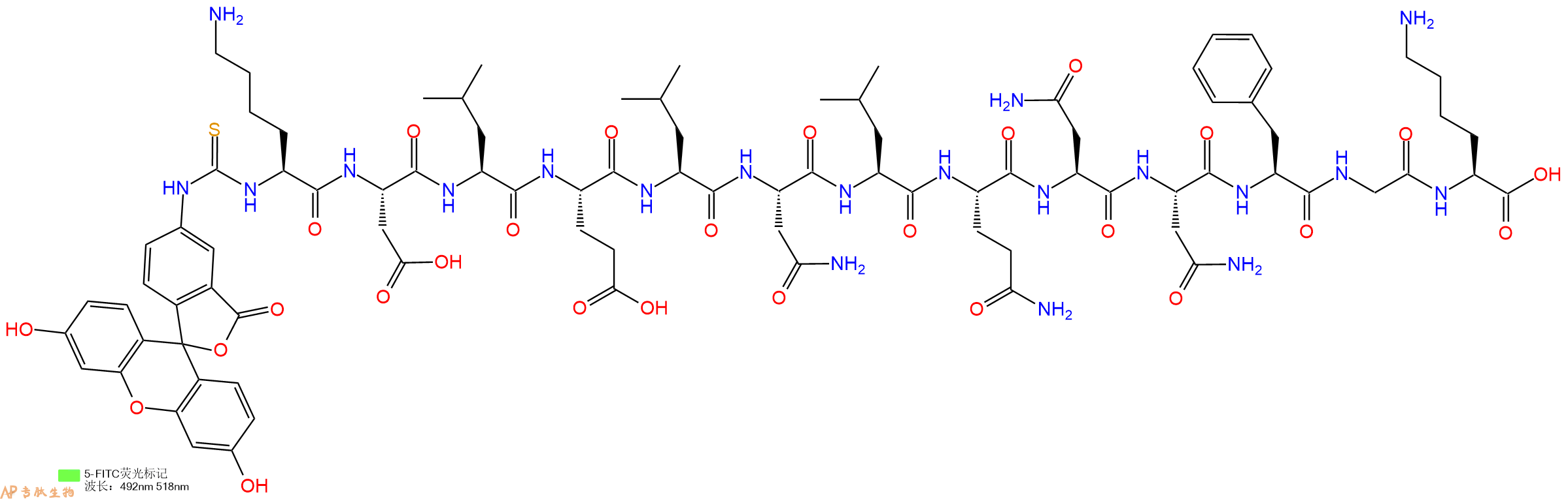 专肽生物产品5FITC-Lys-Asp-Leu-Glu-Leu-Asn-Leu-Gln-Asn-Asn-Phe-Gly-Lys-OH