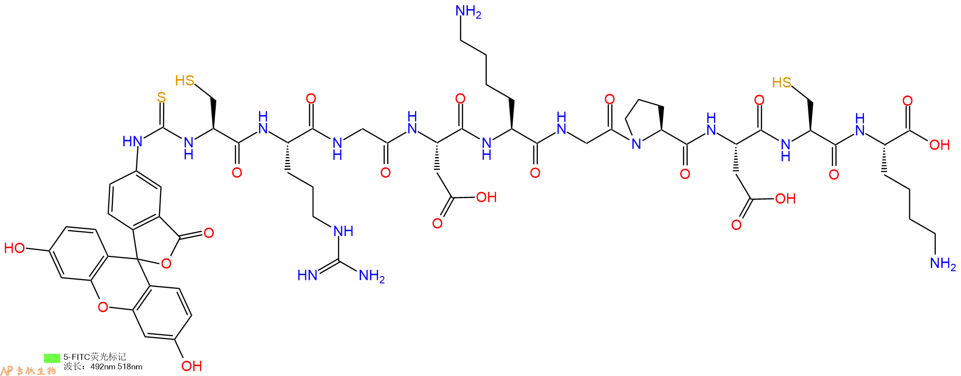 专肽生物产品5FITC-Cys-Arg-Gly-Asp-Lys-Gly-Pro-Asp-Cys-Lys-OH