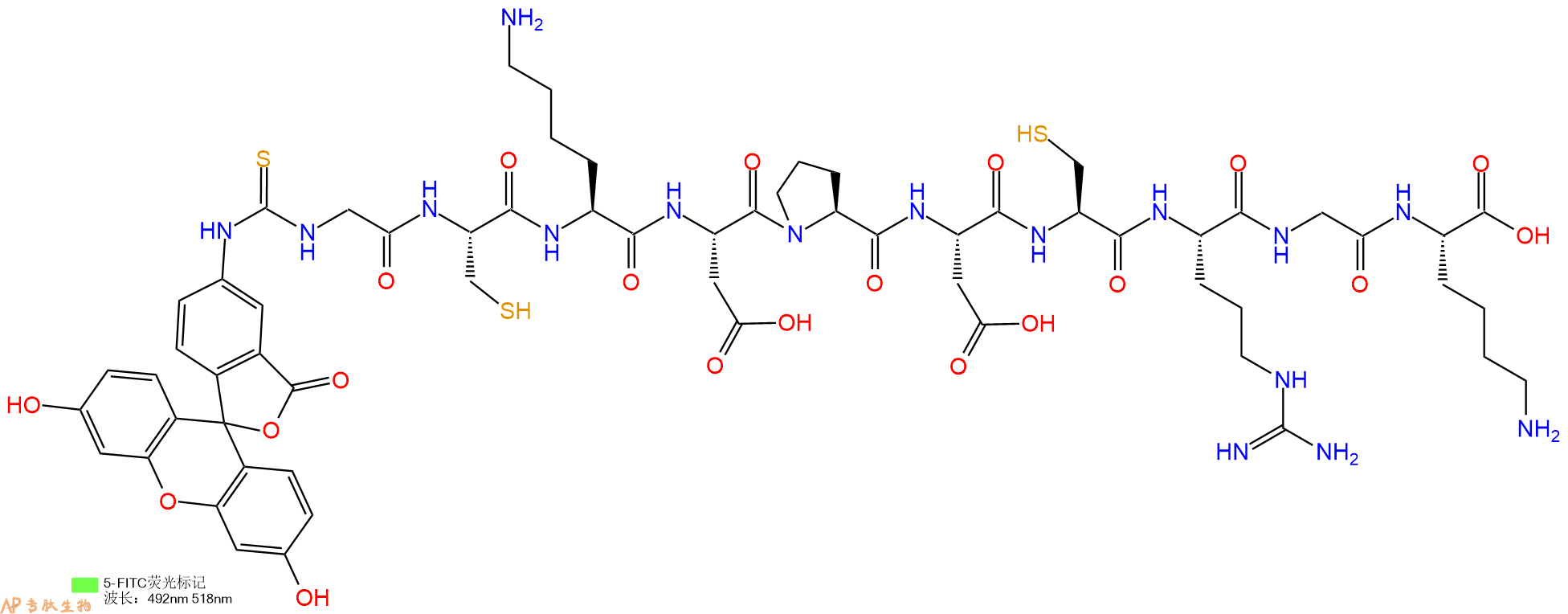 专肽生物产品5FITC-Gly-Cys-Lys-Asp-Pro-Asp-Cys-Arg-Gly-Lys-OH