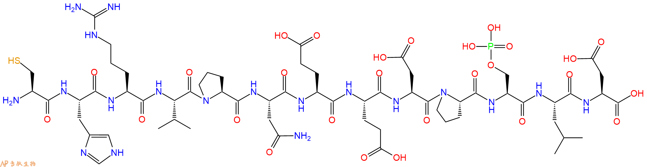 专肽生物产品H2N-Cys-His-Arg-Val-Pro-Asn-Glu-Glu-Asp-Pro-Ser(PO3H2)-Leu-Asp-OH