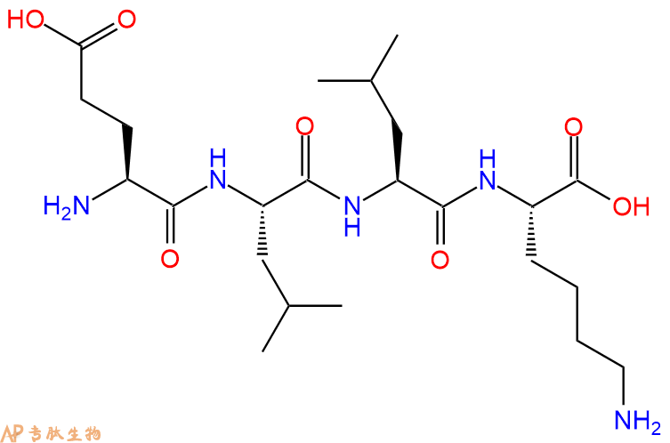专肽生物产品H2N-Glu-Leu-Leu-Lys-OH