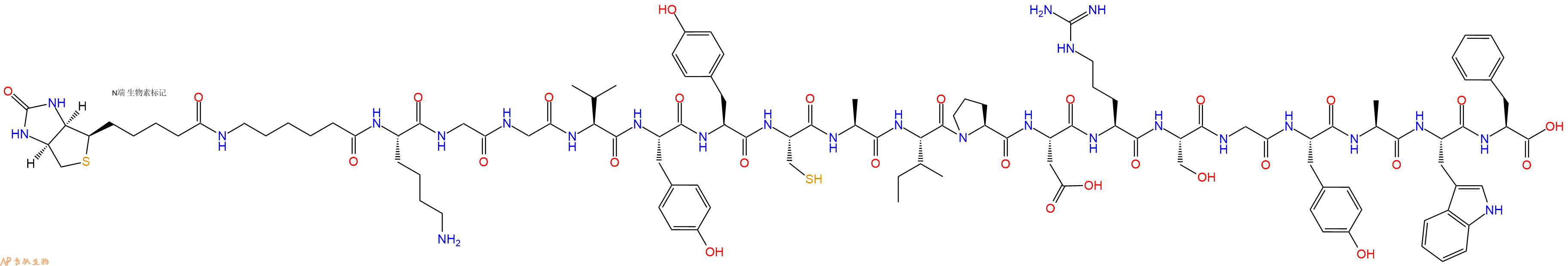 专肽生物产品Biotinyl-Ahx-Lys-Gly-Gly-Val-Tyr-Tyr-Cys-Ala-Ile-Pro-Asp-Arg-Ser-Gly-Tyr-Ala-Trp-Phe-OH