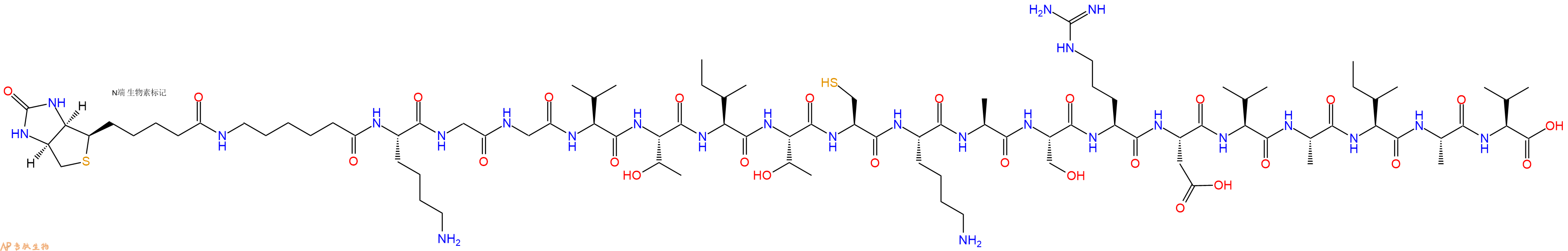 专肽生物产品Biotinyl-Ahx-Lys-Gly-Gly-Val-Thr-Ile-Thr-Cys-Lys-Ala-Ser-Arg-Asp-Val-Ala-Ile-Ala-Val-OH
