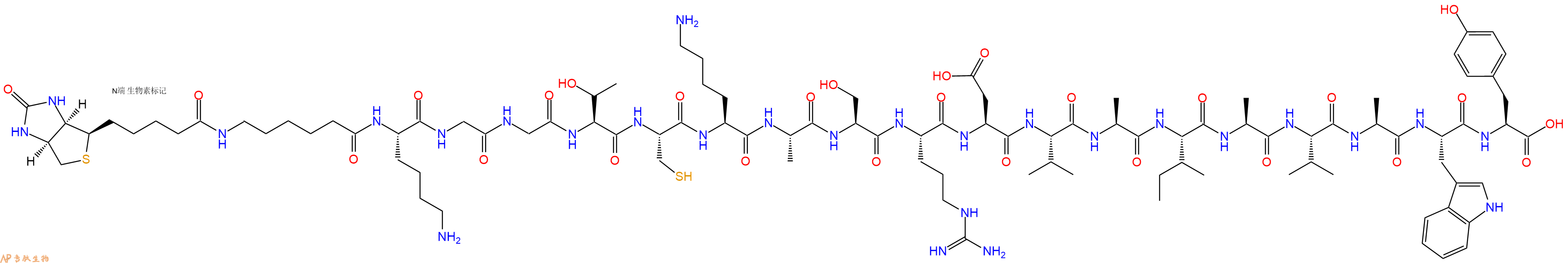 专肽生物产品Biotinyl-Ahx-Lys-Gly-Gly-Thr-Cys-Lys-Ala-Ser-Arg-Asp-Val-Ala-Ile-Ala-Val-Ala-Trp-Tyr-OH
