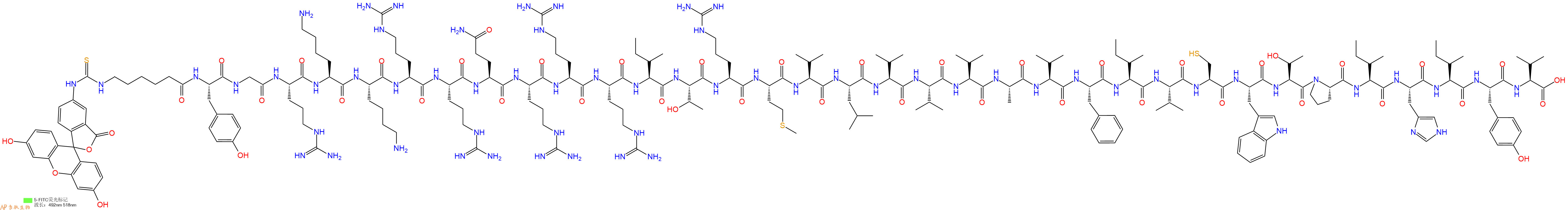 专肽生物产品5FITC-Ahx-Tyr-Gly-Arg-Lys-Lys-Arg-Arg-Gln-Arg-Arg-Arg-Ile-Thr-Arg-Met-Val-Leu-Val-Val-Val-Ala-Val-Phe-Ile-Val-Cys-Trp-Thr-Pro-Ile-His-Ile-Tyr-Val-OH