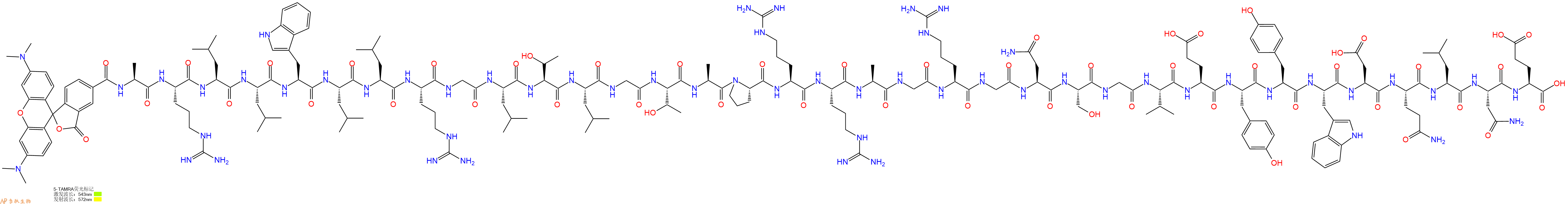 专肽生物产品5TAMRA-Ala-Arg-Leu-Leu-Trp-Leu-Leu-Arg-Gly-Leu-Thr-Leu-Gly-Thr-Ala-Pro-Arg-Arg-Ala-Gly-Arg-Gly-Asn-Ser-Gly-Val-Glu-Tyr-Tyr-Trp-Asp-Gln-Leu-Asn-Glu-OH