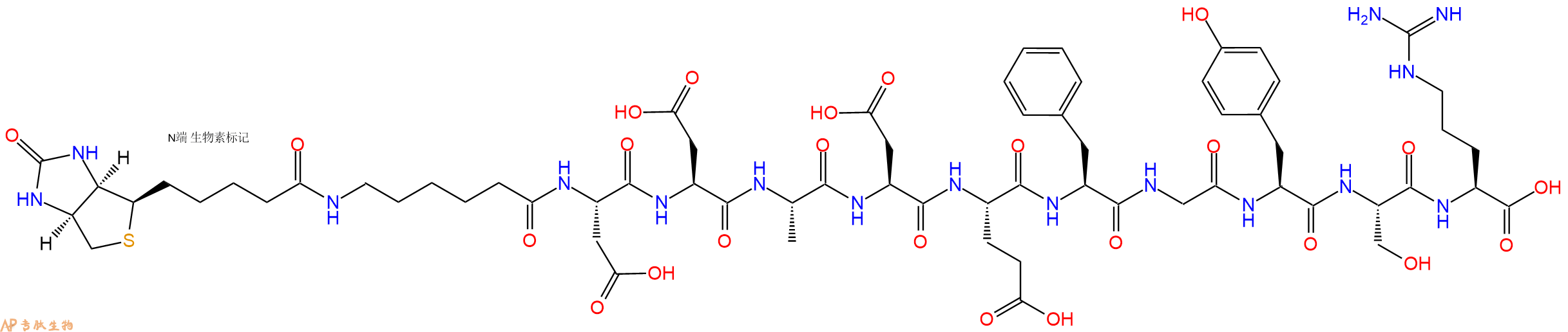 专肽生物产品Biotinyl-Ahx-Asp-Asp-Ala-Asp-Glu-Phe-Gly-Tyr-Ser-Arg-OH