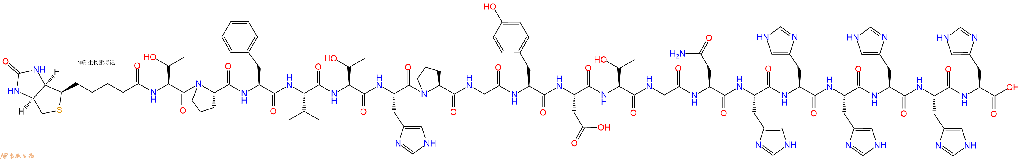 专肽生物产品Biotinyl-Thr-Pro-Phe-Val-Thr-His-Pro-Gly-Tyr-Asp-Thr-Gly-Asn-His-His-His-His-His-His-OH