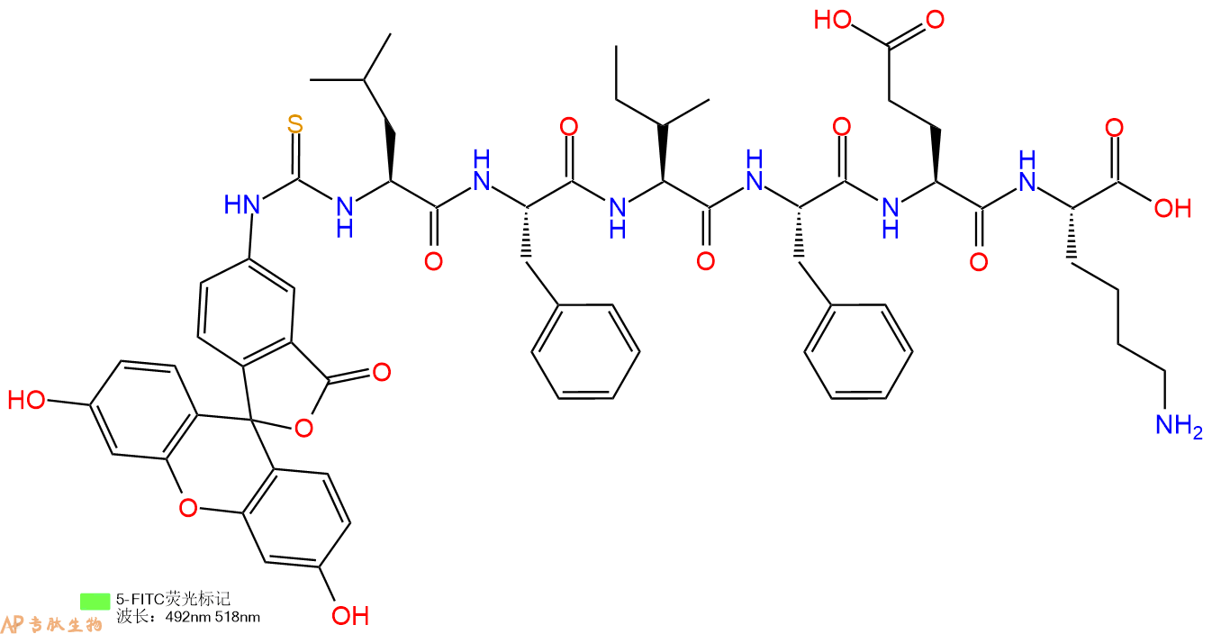 专肽生物产品5FITC-Leu-Phe-Ile-Phe-Glu-Lys-OH