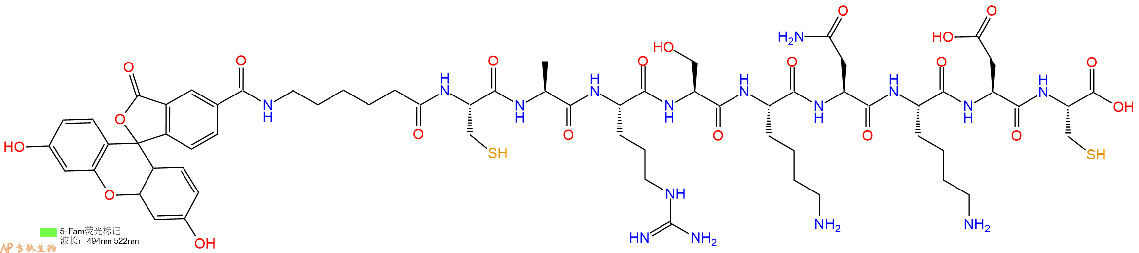 专肽生物产品5FAM-Ahx-Cys-Ala-Arg-Ser-Lys-Asn-Lys-Asp-Cys-OH