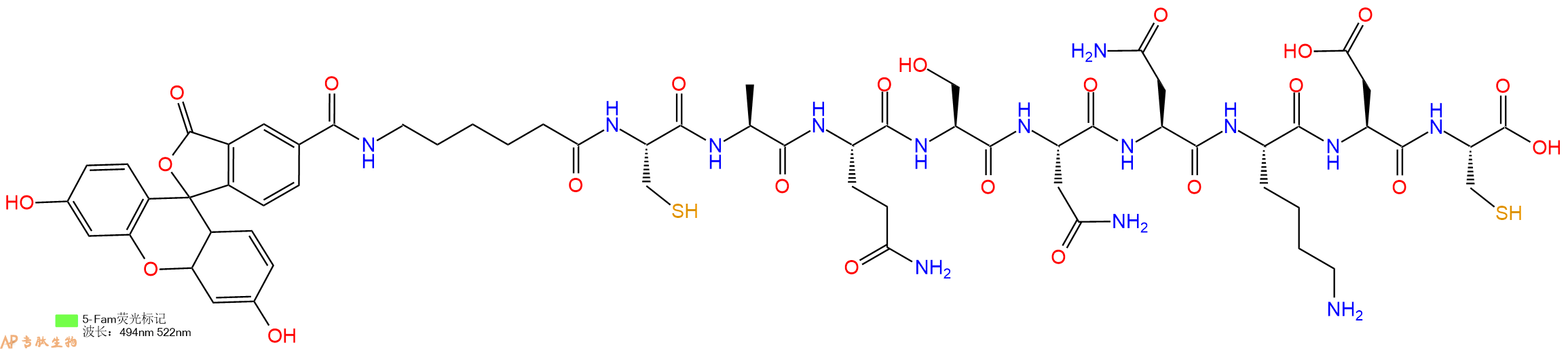 专肽生物产品5FAM-Ahx-Cys-Ala-Gln-Ser-Asn-Asn-Lys-Asp-Cys-OH