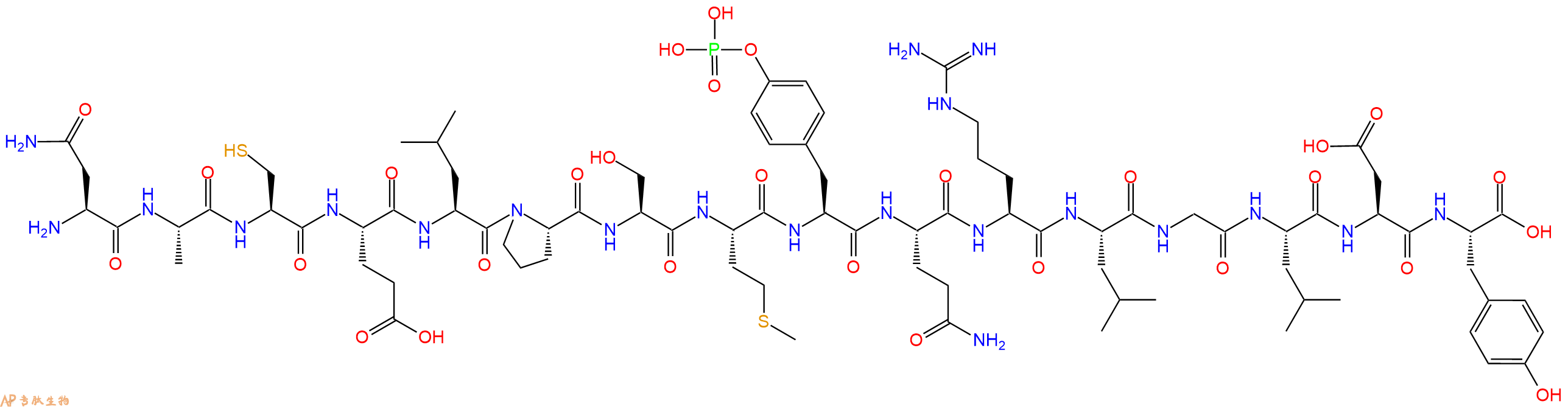 专肽生物产品H2N-Asn-Ala-Cys-Glu-Leu-Pro-Ser-Met-Tyr(PO3H2)-Gln-Arg-Leu-Gly-Leu-Asp-Tyr-OH