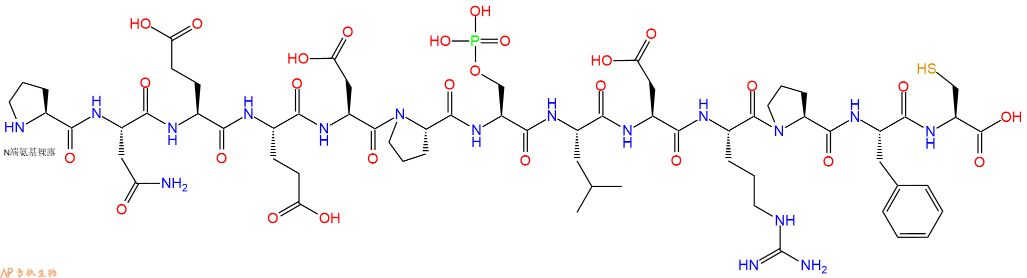 专肽生物产品H2N-Pro-Asn-Glu-Glu-Asp-Pro-Ser(PO3H2)-Leu-Asp-Arg-Pro-Phe-Cys-OH