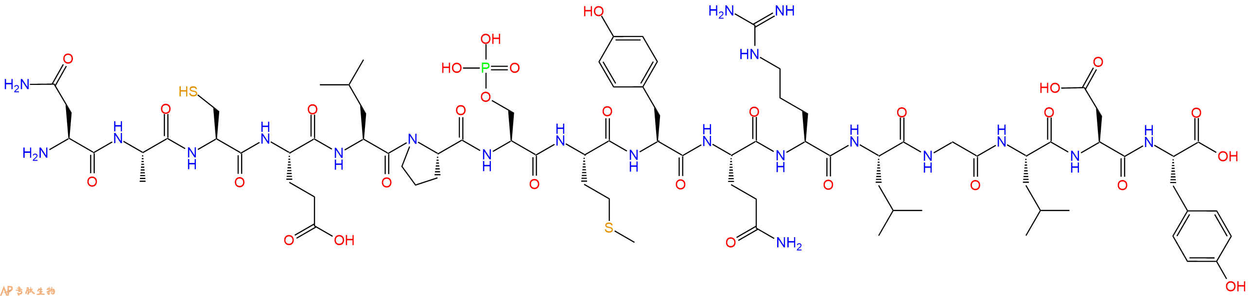专肽生物产品H2N-Asn-Ala-Cys-Glu-Leu-Pro-Ser(PO3H2)-Met-Tyr-Gln-Arg-Leu-Gly-Leu-Asp-Tyr-OH