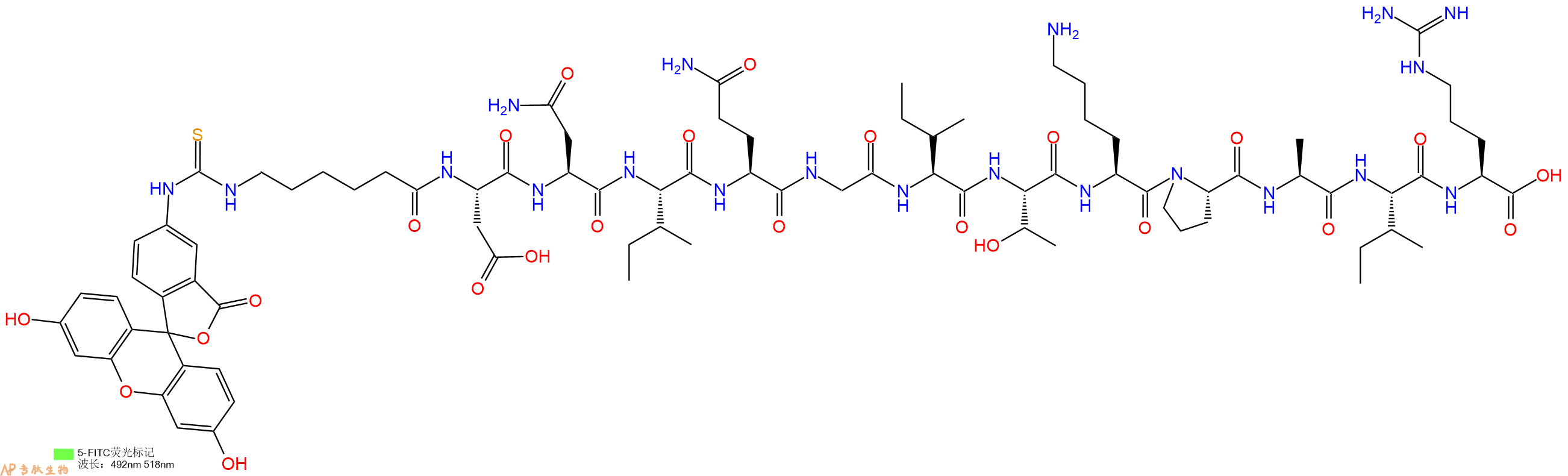 专肽生物产品5FITC-Ahx-Asp-Asn-Ile-Gln-Gly-Ile-Thr-Lys-Pro-Ala-Ile-Arg-OH