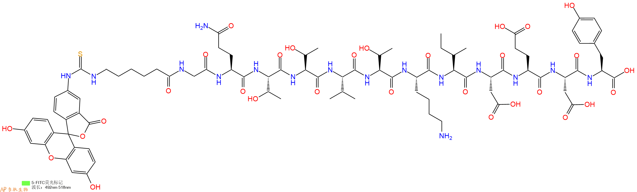 专肽生物产品5FITC-Ahx-Gly-Gln-Thr-Thr-Val-Thr-Lys-Ile-Asp-Glu-Asp-Tyr-OH