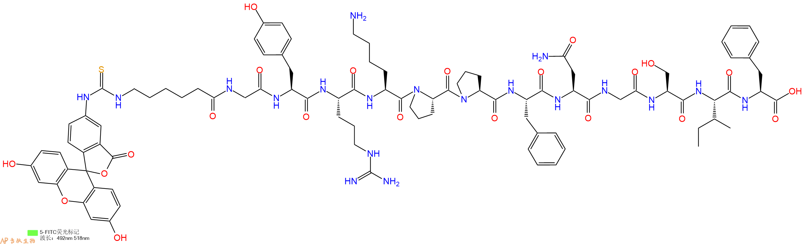 专肽生物产品5FITC-Ahx-Gly-Tyr-Arg-Lys-Pro-Pro-Phe-Asn-Gly-Ser-Ile-Phe-OH