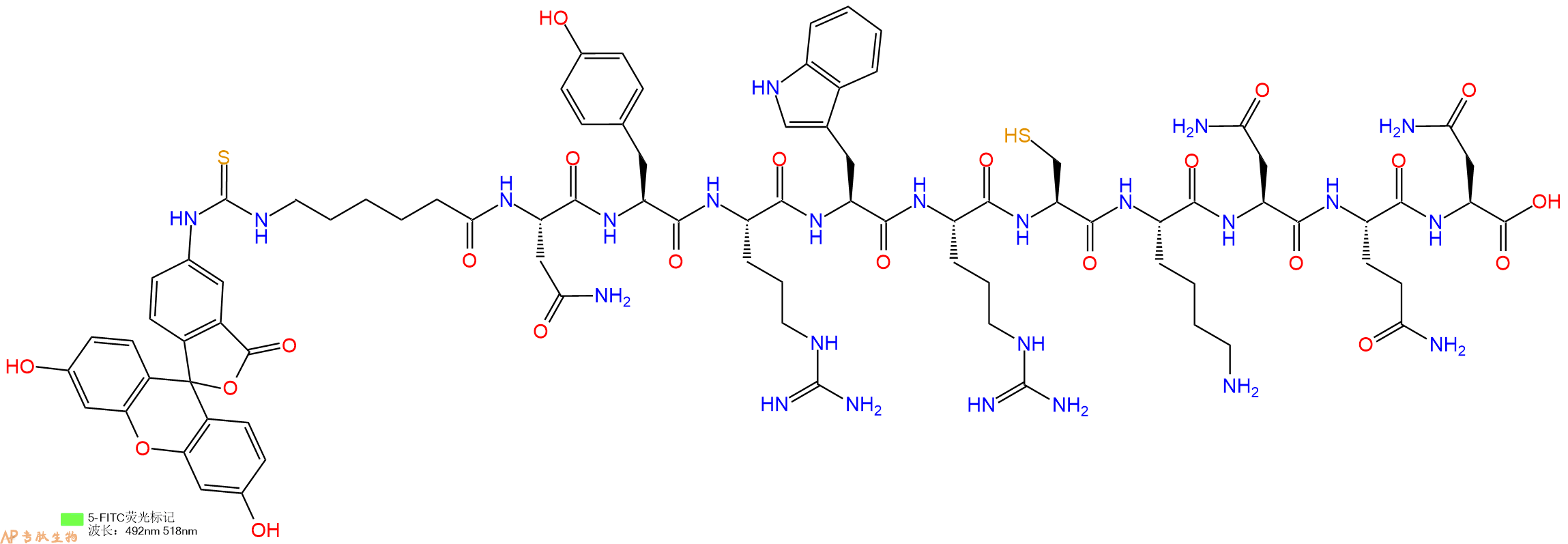 专肽生物产品5FITC-Ahx-Asn-Tyr-Arg-Trp-Arg-Cys-Lys-Asn-Gln-Asn-OH