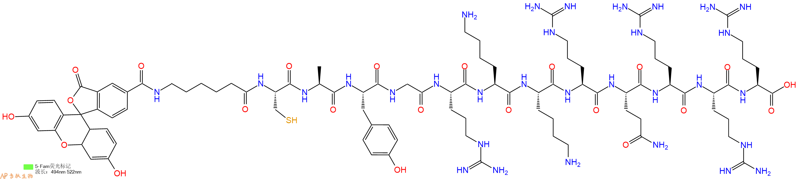 专肽生物产品5FAM-Ahx-Cys-Ala-Tyr-Gly-Arg-Lys-Lys-Arg-Gln-Arg-Arg-Arg-OH