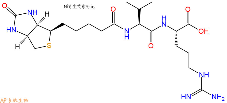 专肽生物产品Biotinyl-Val-Arg-OH