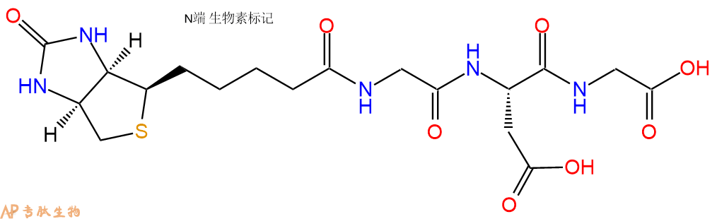 专肽生物产品Biotinyl-Gly-Asp-Gly-OH