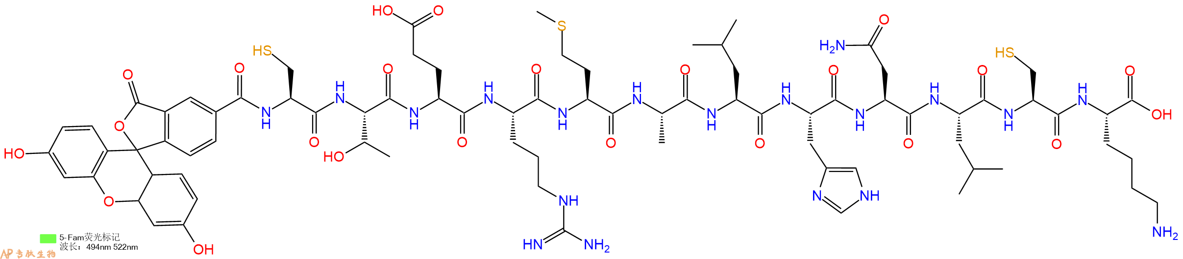 专肽生物产品5FAM-Cys-Thr-Glu-Arg-Met-Ala-Leu-His-Asn-Leu-Cys-Lys-OH