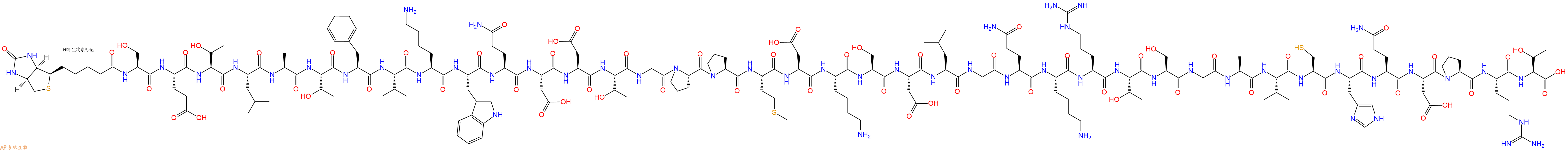 专肽生物产品Biotinyl-Ser-Glu-Thr-Leu-Ala-Thr-Phe-Val-Lys-Trp-Gln-Asp-Asp-Thr-Gly-Pro-Pro-Met-Asp-Lys-Ser-Asp-Leu-Gly-Gln-Lys-Arg-Thr-Ser-Gly-Ala-Val-Cys-His-Gln-Asp-Pro-Arg-Thr-OH