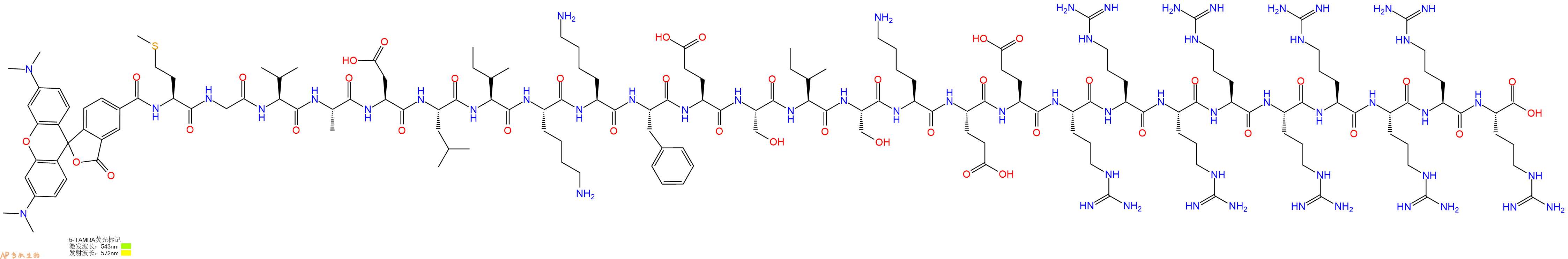专肽生物产品5TAMRA-Met-Gly-Val-Ala-Asp-Leu-Ile-Lys-Lys-Phe-Glu-Ser-Ile-Ser-Lys-Glu-Glu-Arg-Arg-Arg-Arg-Arg-Arg-Arg-Arg-Arg-OH