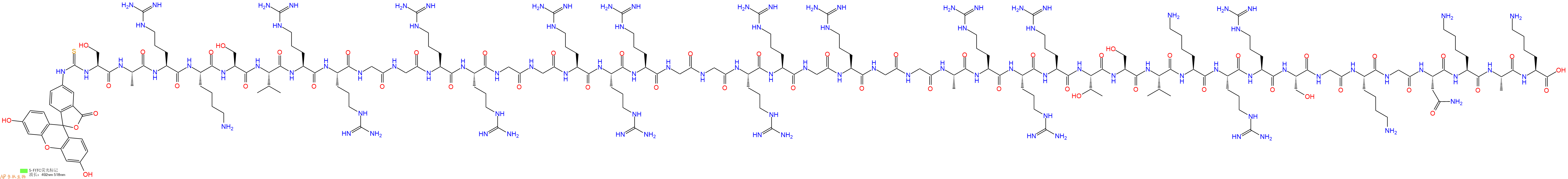 专肽生物产品5FITC-Ser-Ala-Arg-Lys-Ser-Val-Arg-Arg-Gly-Gly-Arg-Arg-Gly-Gly-Arg-Arg-Arg-Gly-Gly-Arg-Arg-Gly-Arg-Gly-Gly-Ala-Arg-Arg-Arg-Thr-Ser-Val-Lys-Arg-Arg-Ser-Gly-Lys-Gly-Asn-Lys-Ala-Lys-OH