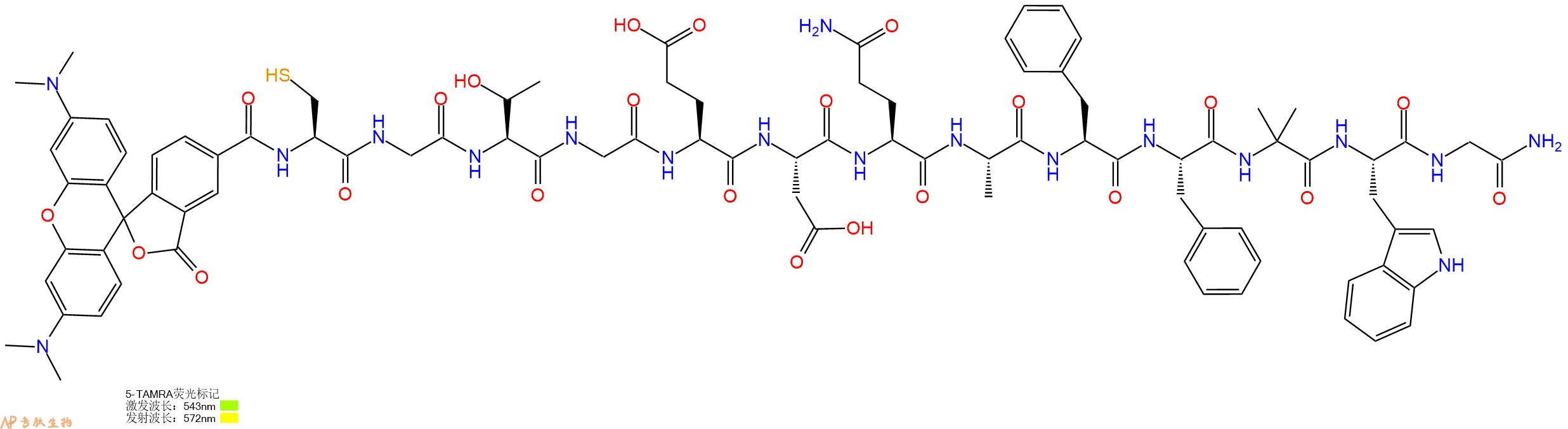 专肽生物产品5TAMRA-Cys-Gly-Thr-Gly-Glu-Asp-Gln-Ala-Phe-Phe-Aib-Trp-Gly-CONH2