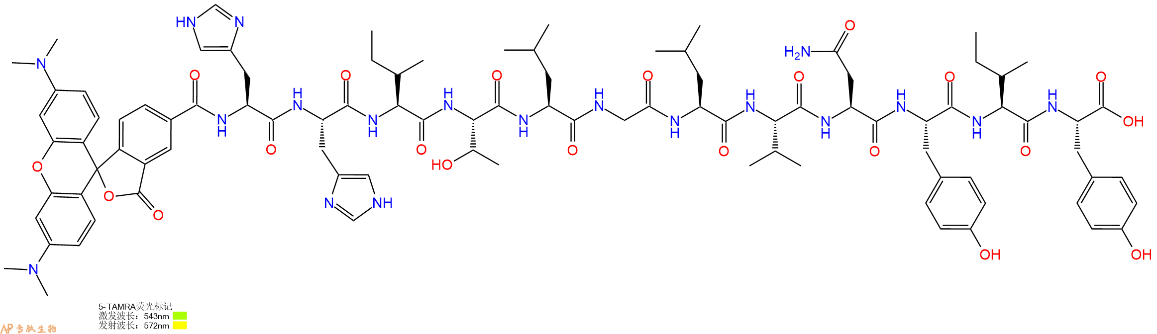 专肽生物产品5TAMRA-His-His-Ile-Thr-Leu-Gly-Leu-Val-Asn-Tyr-Ile-Tyr-OH