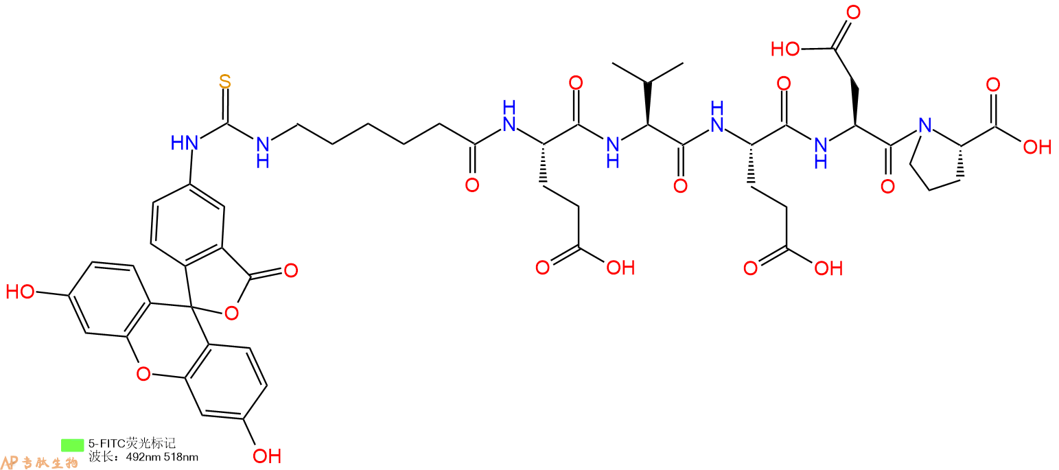 专肽生物产品5FITC-Ahx-Glu-Val-Glu-Asp-Pro-OH