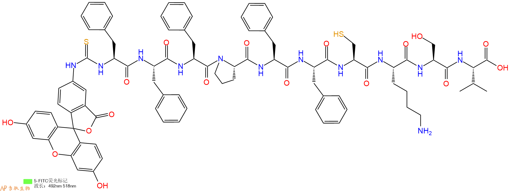 专肽生物产品5FITC-Phe-Phe-Phe-Pro-Phe-Phe-Cys-Lys-Ser-Val-OH
