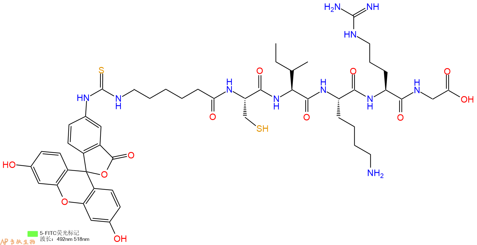 专肽生物产品5FITC-Ahx-Cys-Ile-Lys-Arg-Gly-OH
