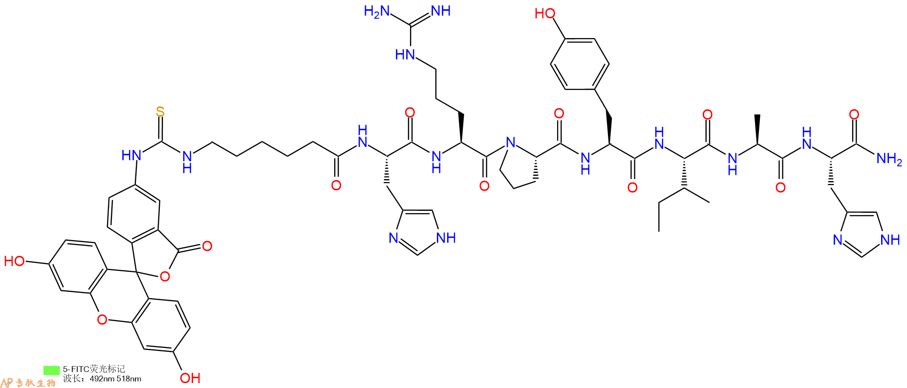专肽生物产品5FITC-Ahx-His-Arg-Pro-Tyr-Ile-Ala-His-CONH2