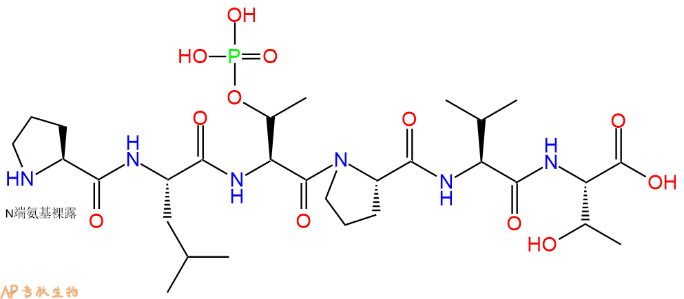 专肽生物产品H2N-Pro-Leu-pThr-Pro-Val-Thr-OH