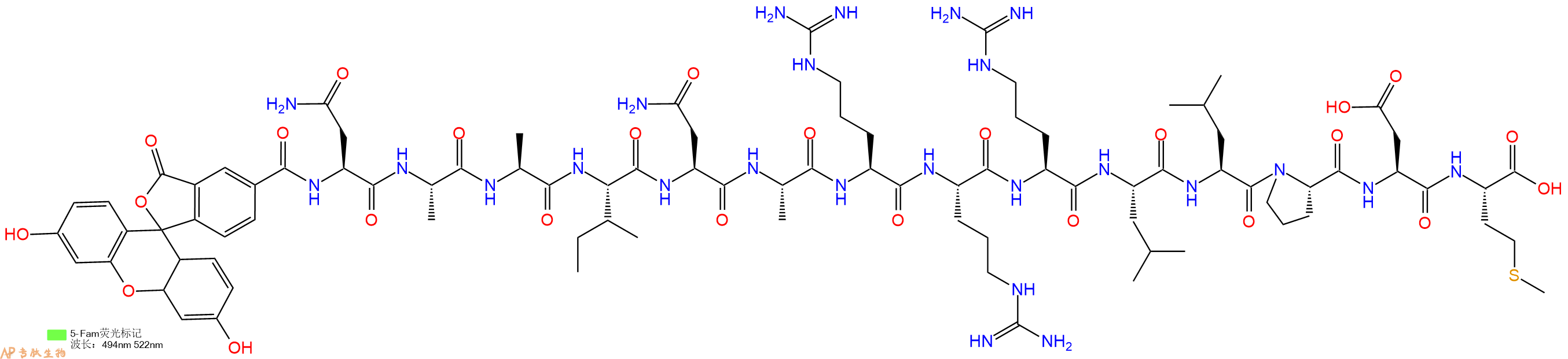 专肽生物产品5FAM-Asn-Ala-Ala-Ile-Asn-Ala-Arg-Arg-Arg-Leu-Leu-Pro-Asp-Met-OH
