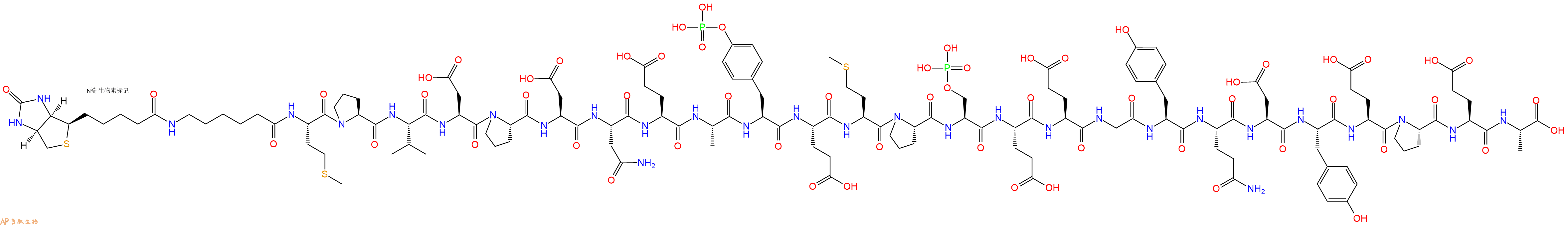 专肽生物产品Biotinyl-Ahx-Met-Pro-Val-Asp-Pro-Asp-Asn-Glu-Ala-Tyr(PO3H2)-Glu-Met-Pro-Ser(PO3H2)-Glu-Glu-Gly-Tyr-Gln-Asp-Tyr-Glu-Pro-Glu-Ala-OH