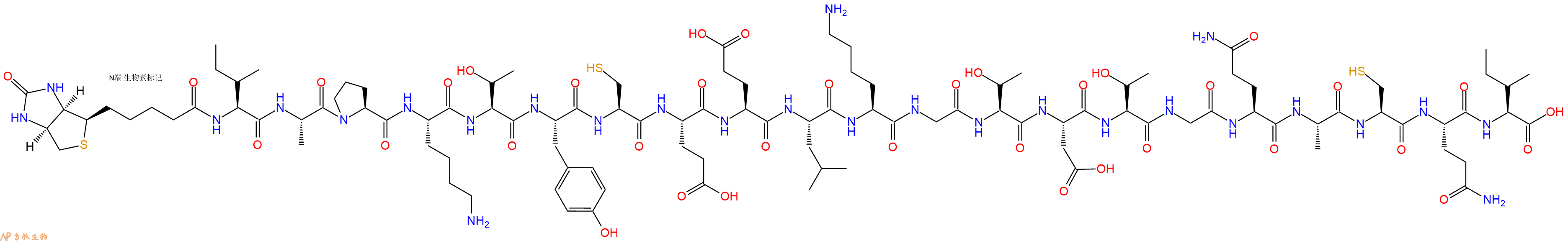 专肽生物产品Biotinyl-Ile-Ala-Pro-Lys-Thr-Tyr-Cys-Glu-Glu-Leu-Lys-Gly-Thr-Asp-Thr-Gly-Gln-Ala-Cys-Gln-Ile-OH