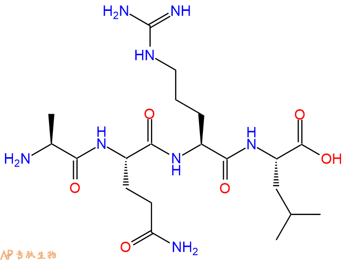专肽生物产品H2N-Ala-Gln-Arg-Leu-OH