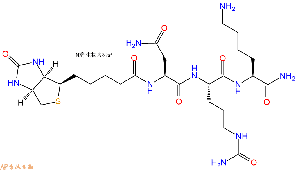 专肽生物产品Biotinyl-Asn-Cit-Lys-CONH2