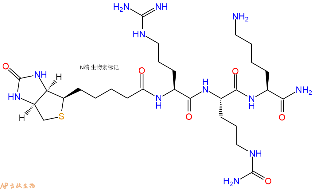 专肽生物产品Biotinyl-Arg-Cit-Lys-CONH2