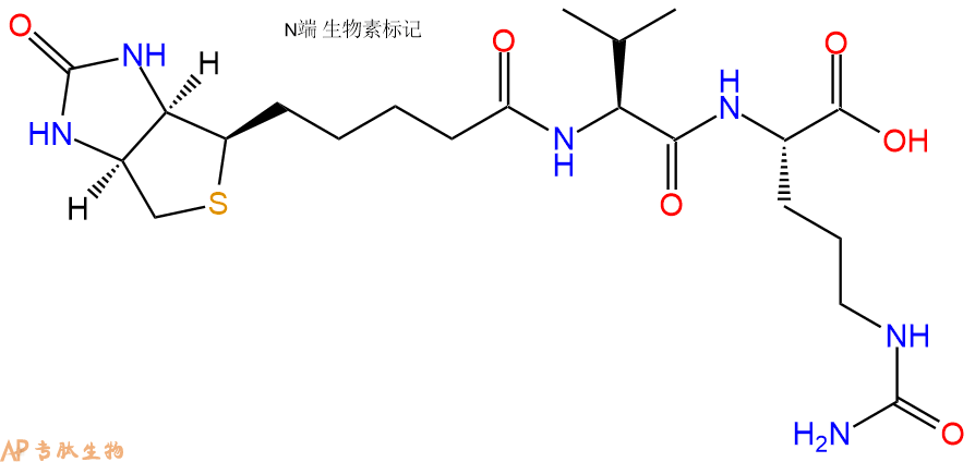 专肽生物产品Biotinyl-Val-Cit-OH