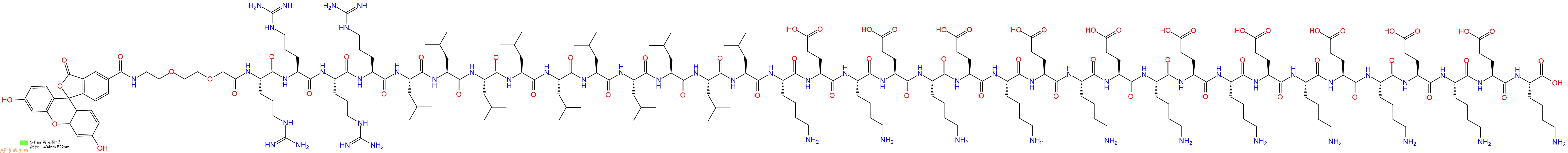 专肽生物产品5FAM-AEEA-Arg-Arg-Arg-Arg-Leu-Leu-Leu-Leu-Leu-Leu-Leu-Leu-Leu-Leu-Lys-Glu-Lys-Glu-Lys-Glu-Lys-Glu-Lys-Glu-Lys-Glu-Lys-Glu-Lys-Glu-Lys-Glu-Lys-Glu-Lys-OH