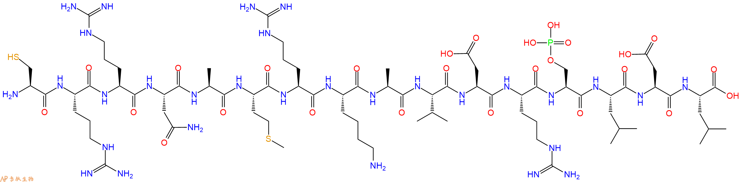专肽生物产品H2N-Cys-Arg-Arg-Asn-Ala-Met-Arg-Lys-Ala-Val-Asp-Arg-Ser(PO3H2)-Leu-Asp-Leu-OH