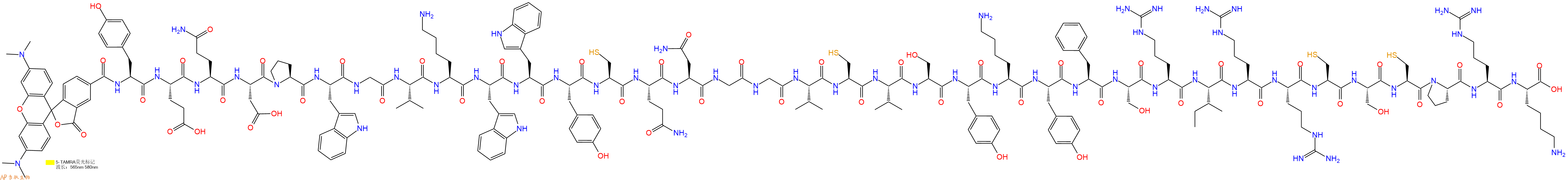 专肽生物产品5TAMRA-Tyr-Glu-Gln-Asp-Pro-Trp-Gly-Val-Lys-Trp-Trp-Tyr-Cys-Gln-Asn-Gly-Gly-Val-Cys-Val-Ser-Tyr-Lys-Tyr-Phe-Ser-Arg-Ile-Arg-Arg-Cys-Ser-Cys-Pro-Arg-Lys-OH